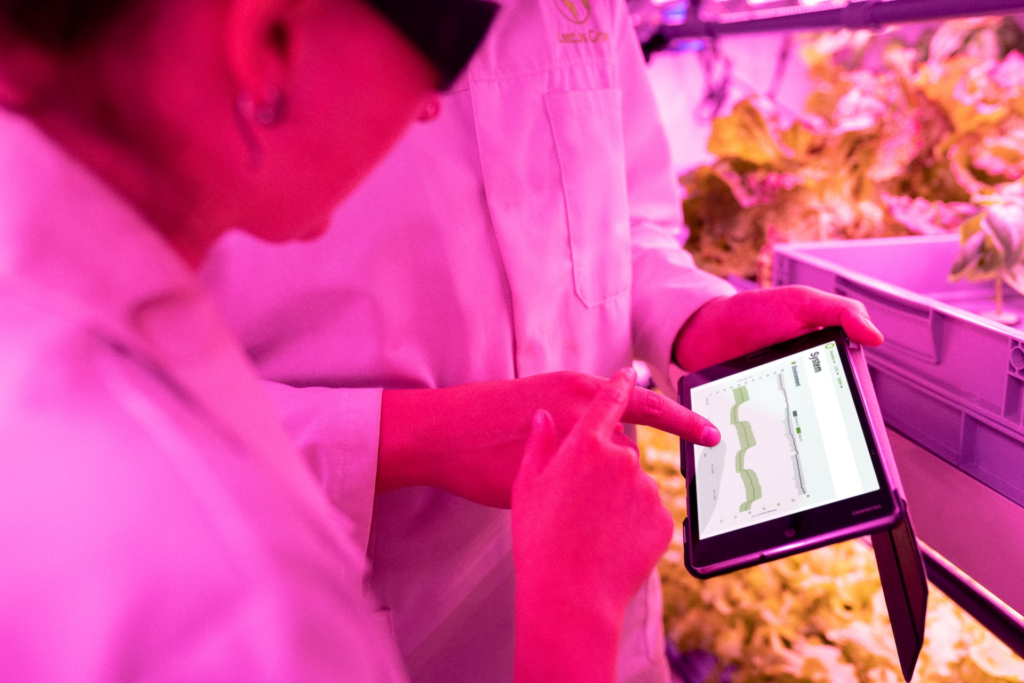 Engineers monitor crops in sustainable indoor farm